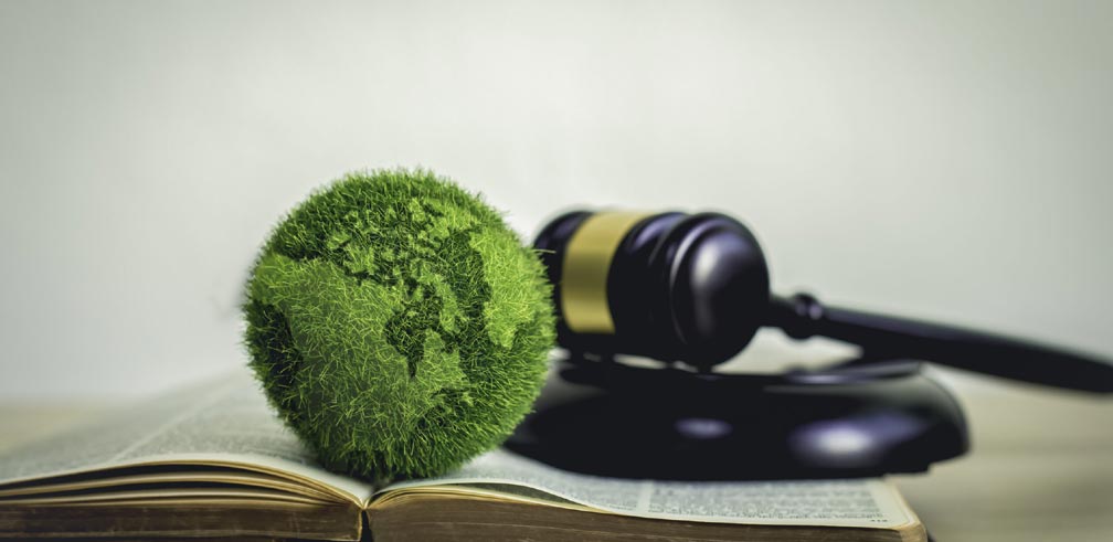 성북구 개인파산 절차와 진행 방법, 신용 회복을 위한 현실적인 해결책